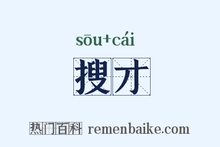 搜才是什么意思的图片